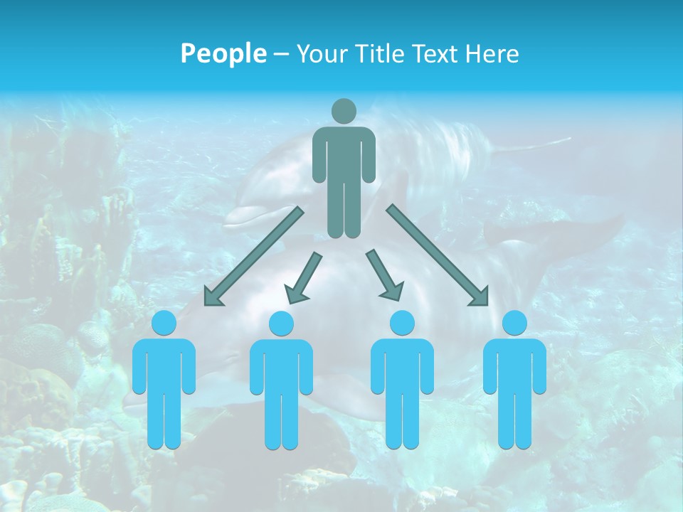 House Ventilation Condition PowerPoint Template