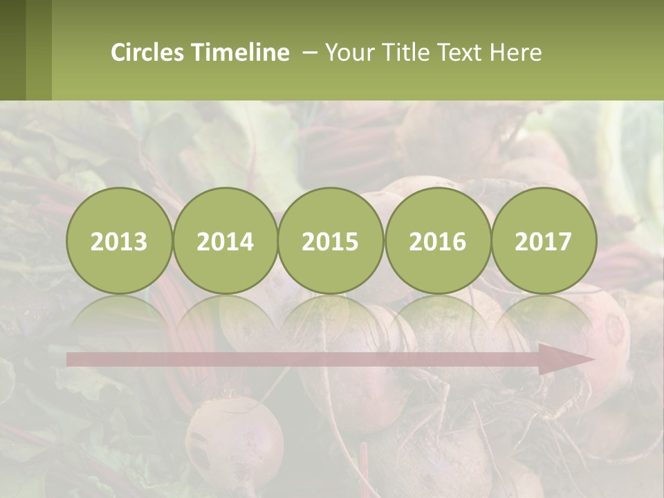 Home Temperature White PowerPoint Template