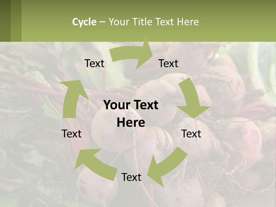 Home Temperature White PowerPoint Template