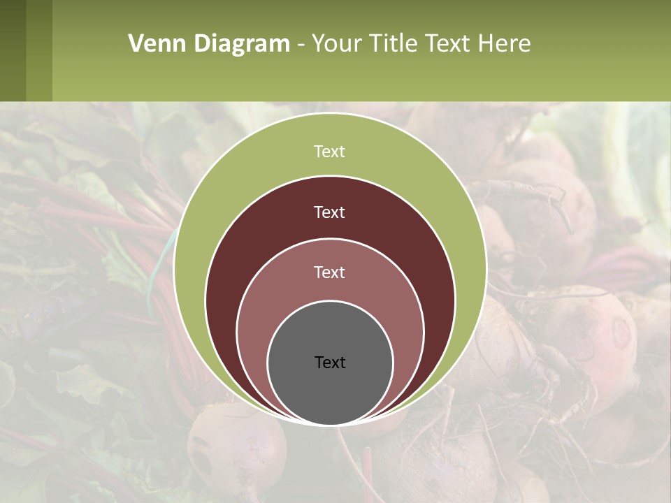 Home Temperature White PowerPoint Template