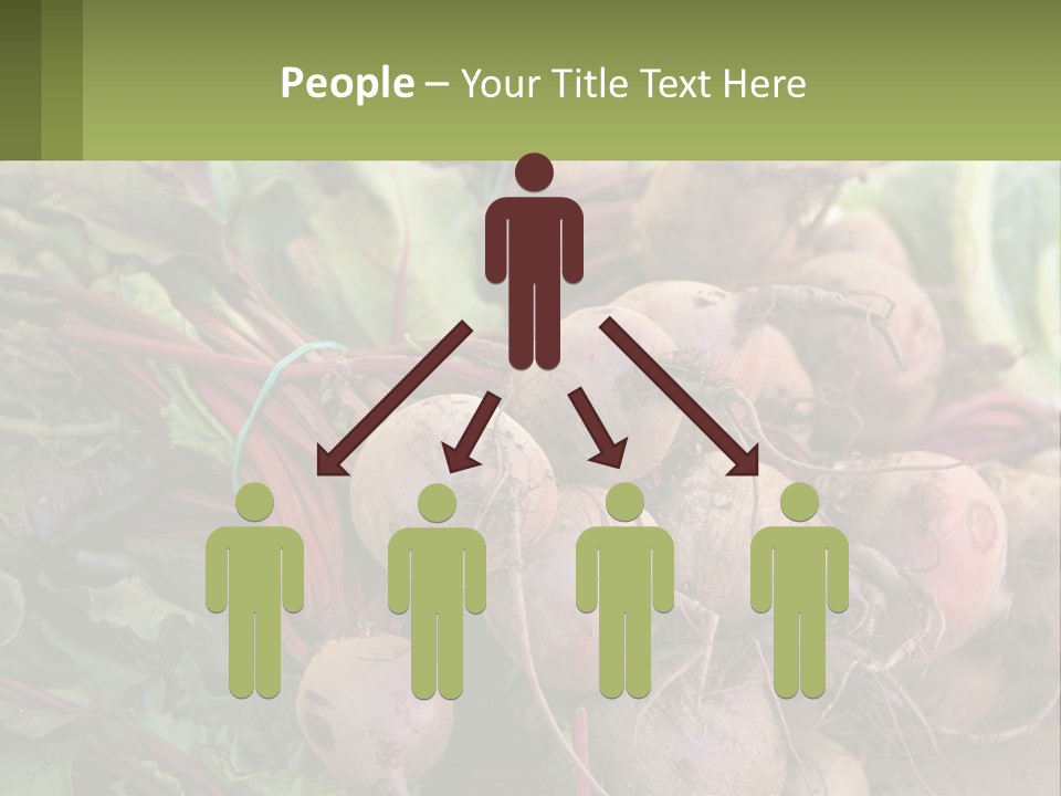 Home Temperature White PowerPoint Template