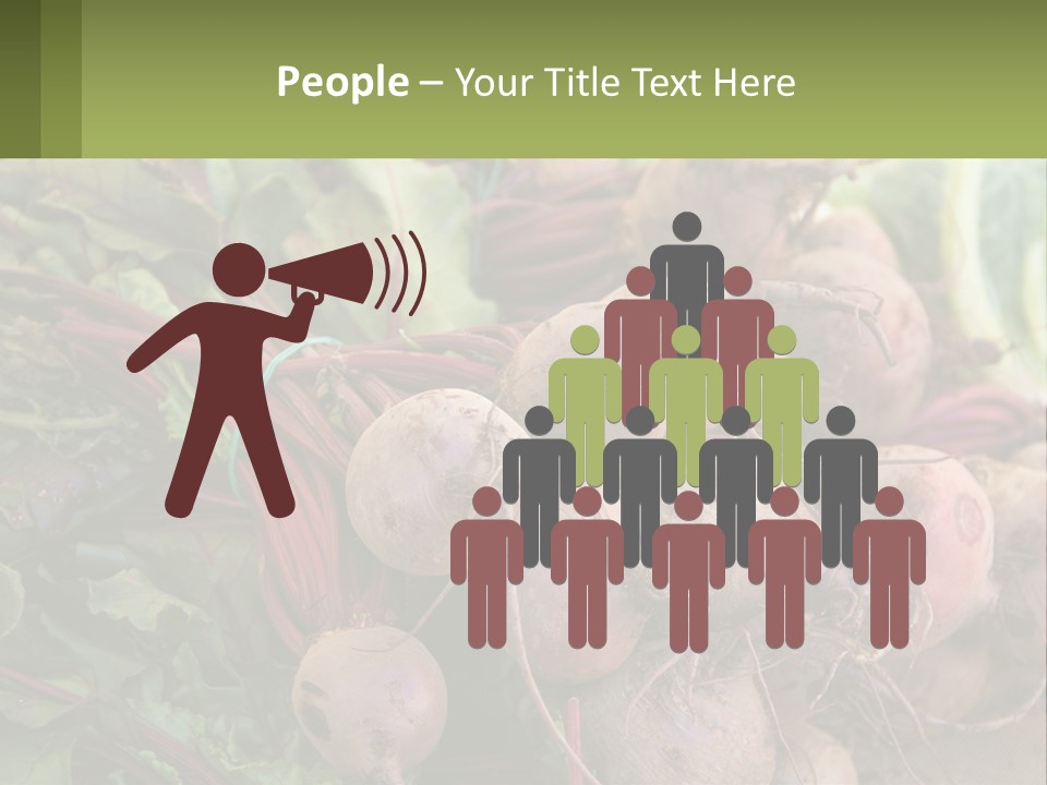 Home Temperature White PowerPoint Template