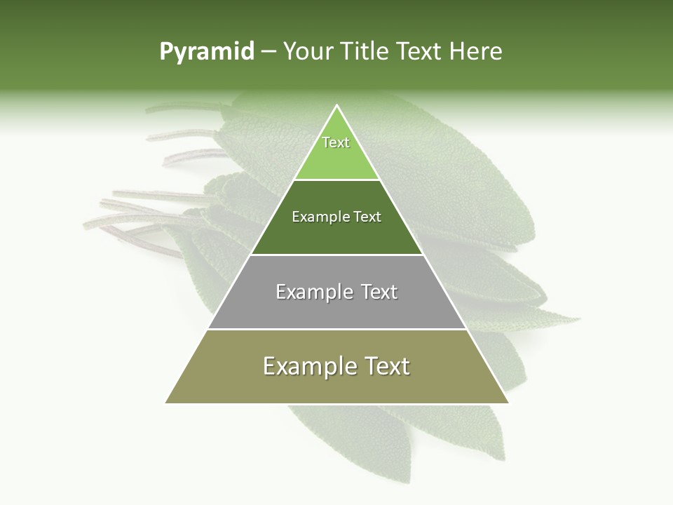 House Electricity Unit PowerPoint Template