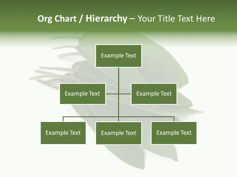 House Electricity Unit PowerPoint Template