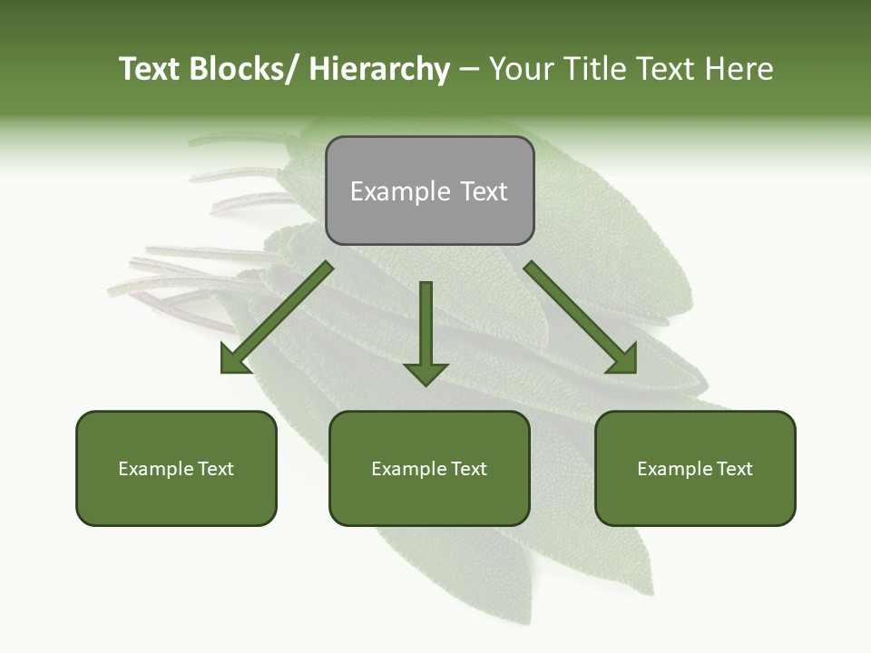 House Electricity Unit PowerPoint Template