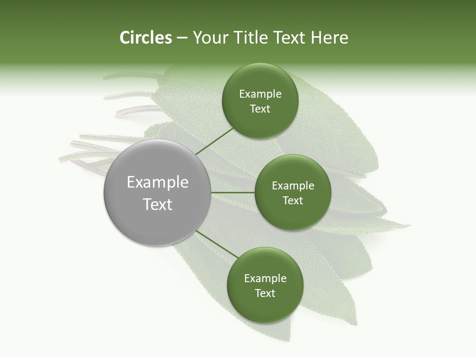 House Electricity Unit PowerPoint Template