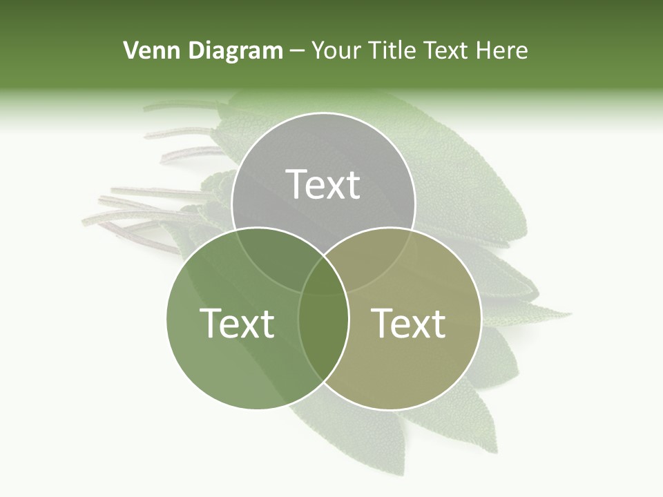 House Electricity Unit PowerPoint Template