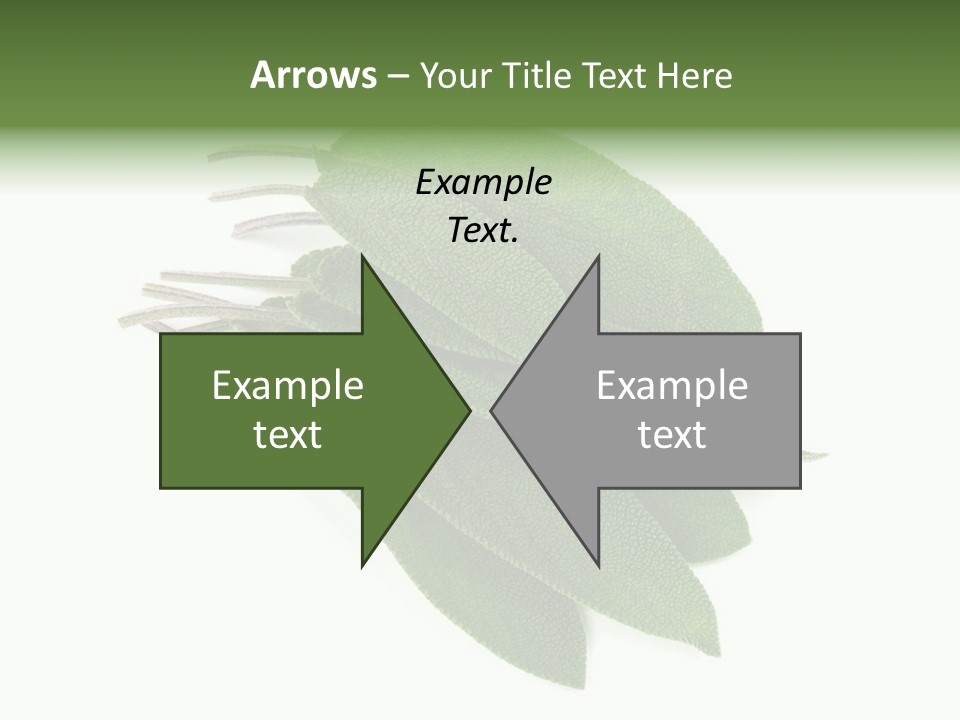 House Electricity Unit PowerPoint Template