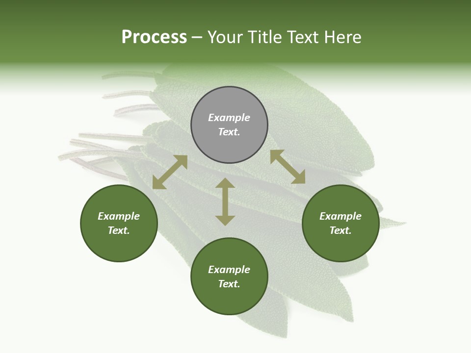 House Electricity Unit PowerPoint Template