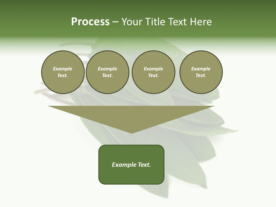 House Electricity Unit PowerPoint Template