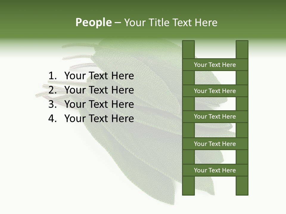 House Electricity Unit PowerPoint Template
