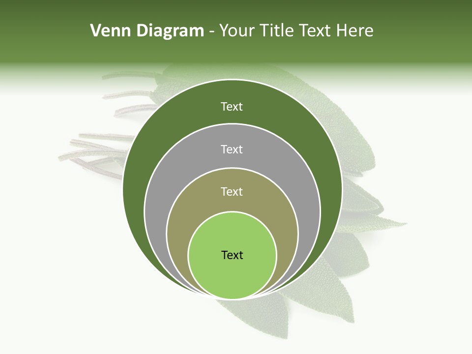 House Electricity Unit PowerPoint Template