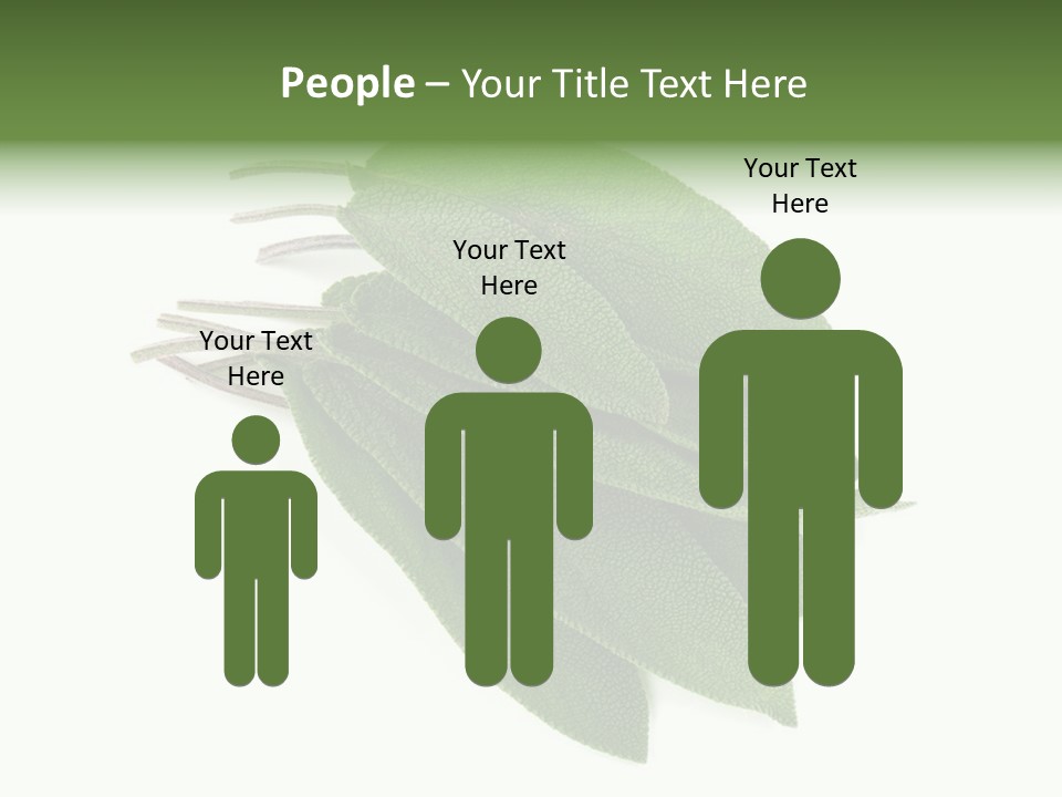House Electricity Unit PowerPoint Template