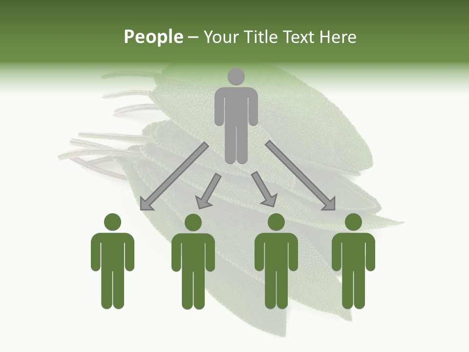 House Electricity Unit PowerPoint Template