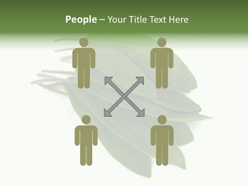 House Electricity Unit PowerPoint Template