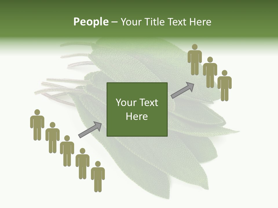 House Electricity Unit PowerPoint Template