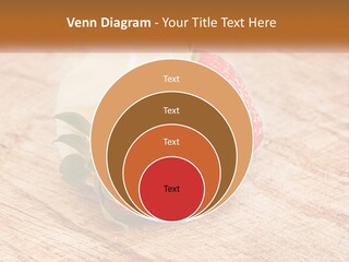 Heat Climate Remote PowerPoint Template