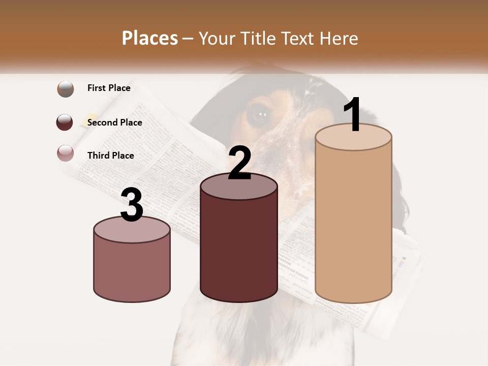 System Cooling Industry PowerPoint Template