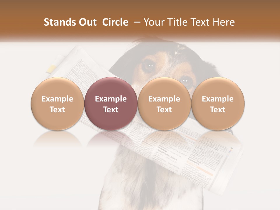 System Cooling Industry PowerPoint Template