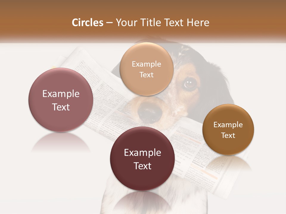 System Cooling Industry PowerPoint Template