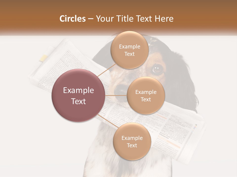 System Cooling Industry PowerPoint Template