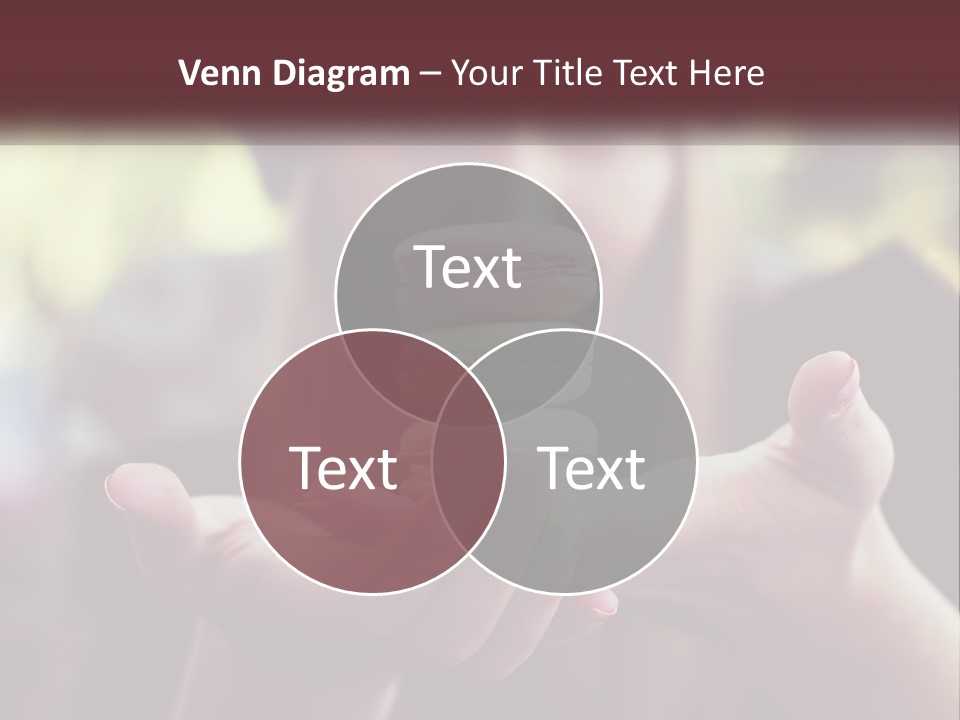 White Switch Unit PowerPoint Template
