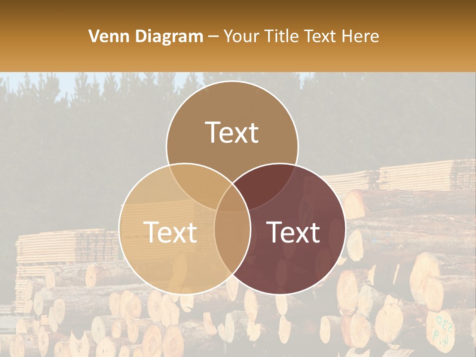 Unit Part Condition PowerPoint Template