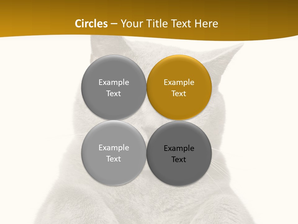 Part Remote White PowerPoint Template