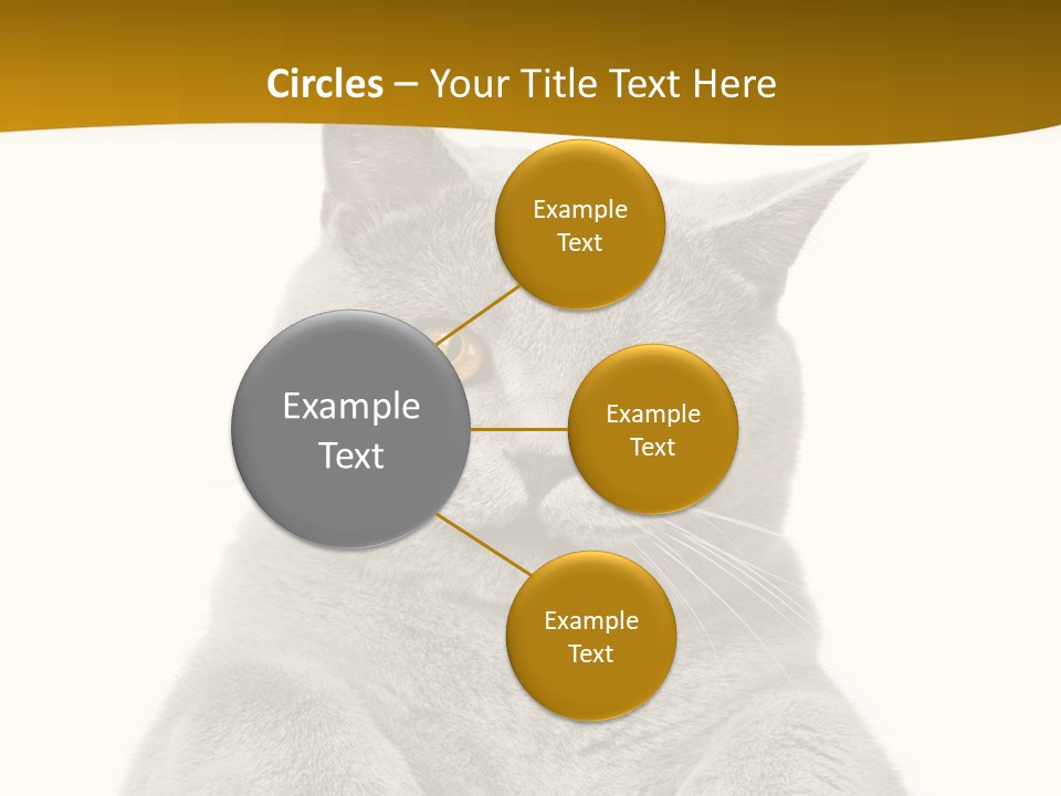 Part Remote White PowerPoint Template