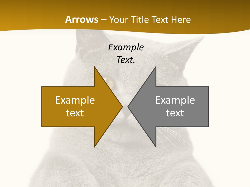 Part Remote White PowerPoint Template
