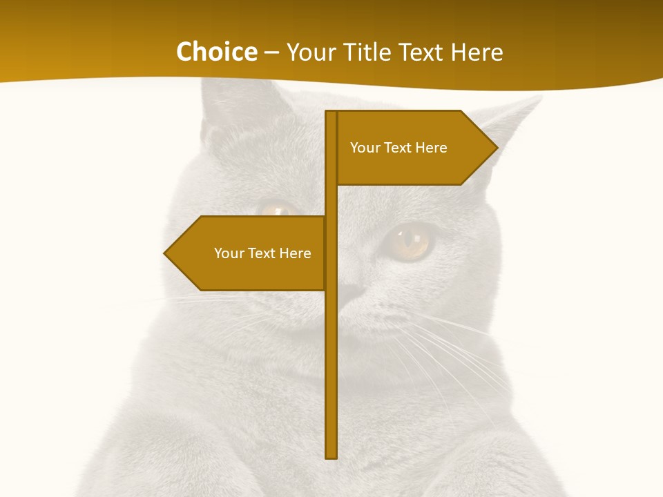 Part Remote White PowerPoint Template