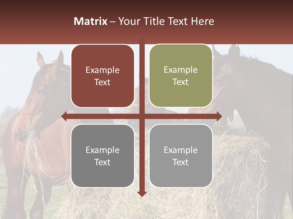 Home Condition Remote PowerPoint Template