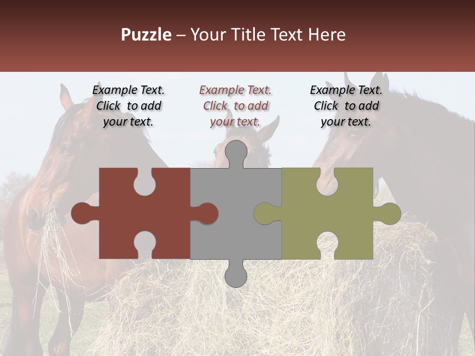 Home Condition Remote PowerPoint Template