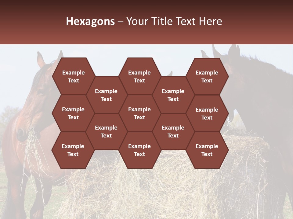 Home Condition Remote PowerPoint Template