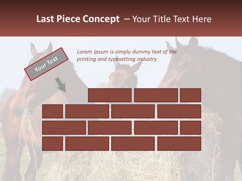 Home Condition Remote PowerPoint Template