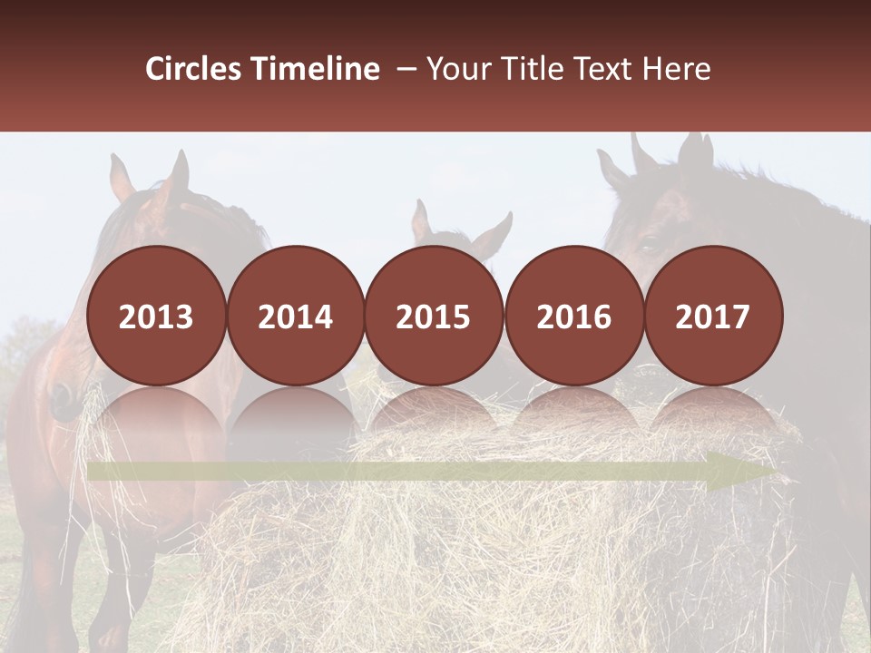 Home Condition Remote PowerPoint Template