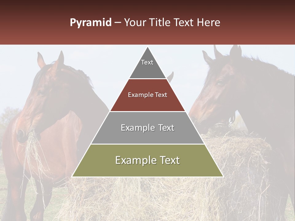 Home Condition Remote PowerPoint Template