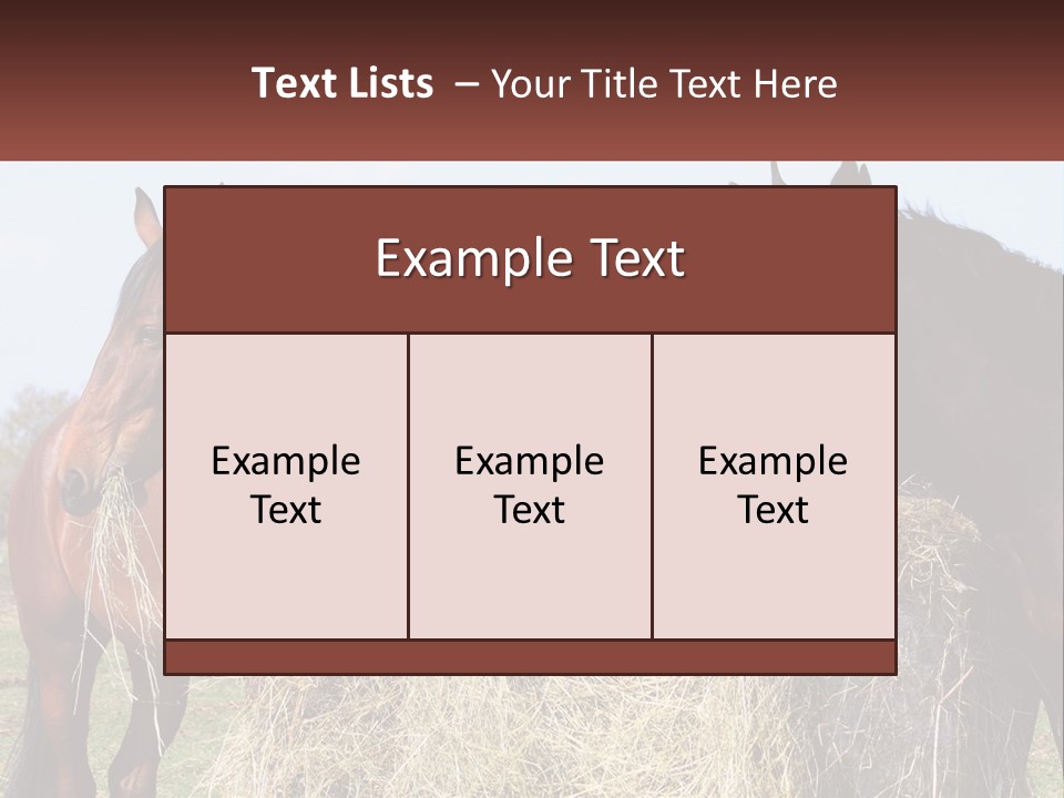 Home Condition Remote PowerPoint Template