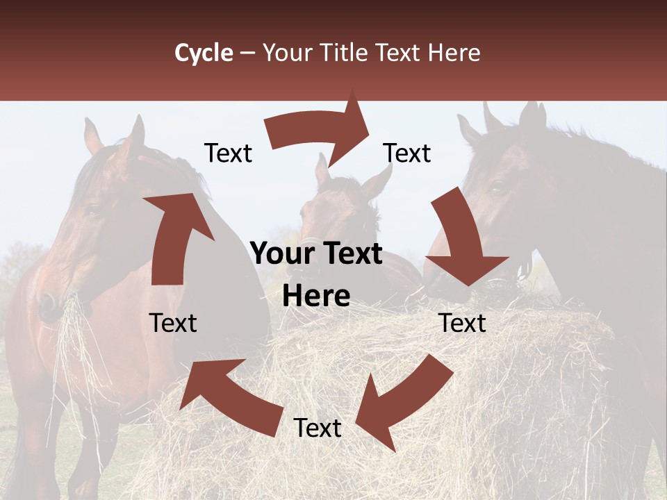 Home Condition Remote PowerPoint Template