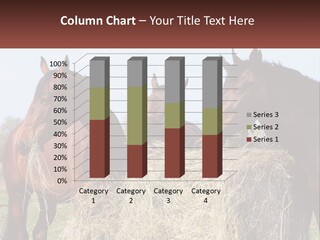 Home Condition Remote PowerPoint Template