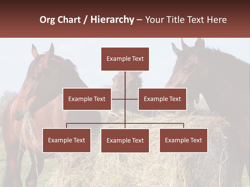 Home Condition Remote PowerPoint Template