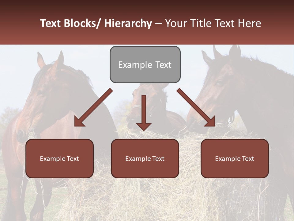 Home Condition Remote PowerPoint Template