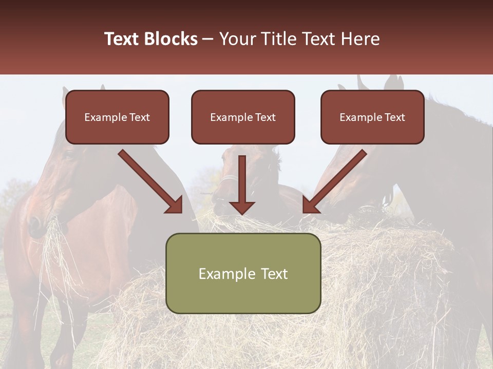 Home Condition Remote PowerPoint Template
