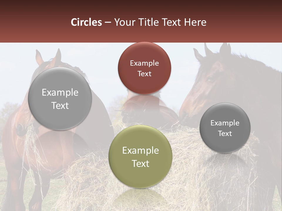 Home Condition Remote PowerPoint Template