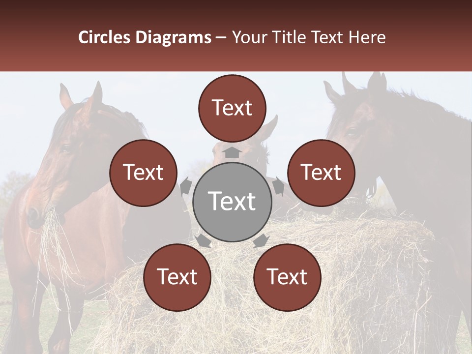 Home Condition Remote PowerPoint Template