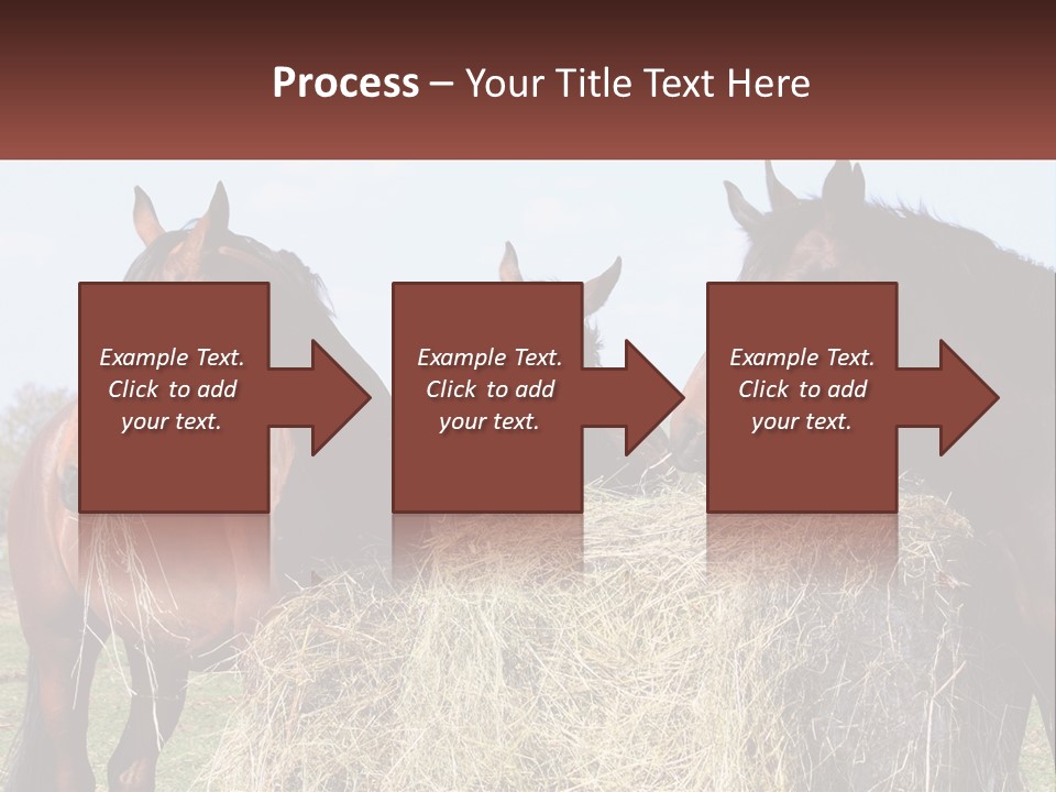 Home Condition Remote PowerPoint Template