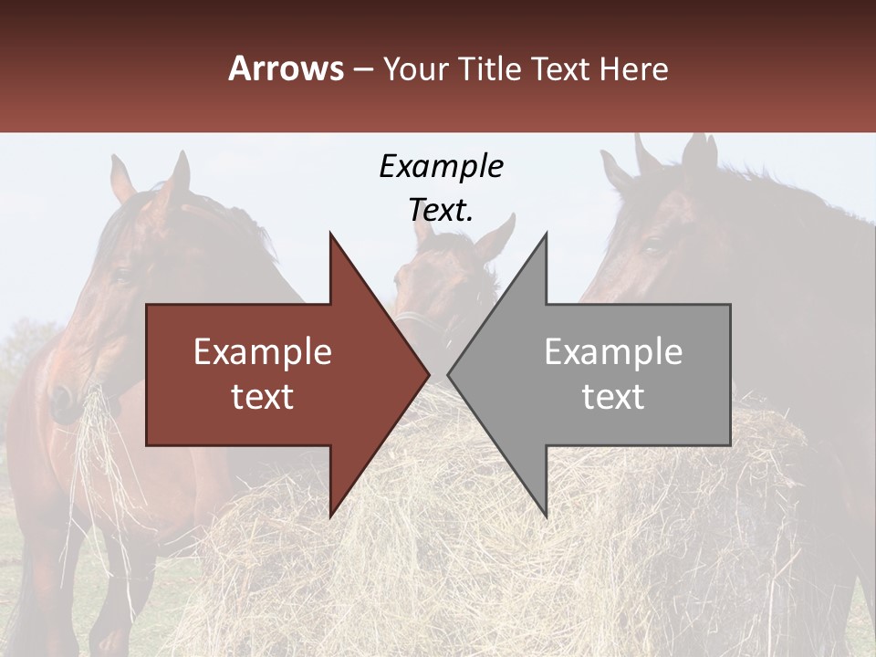 Home Condition Remote PowerPoint Template