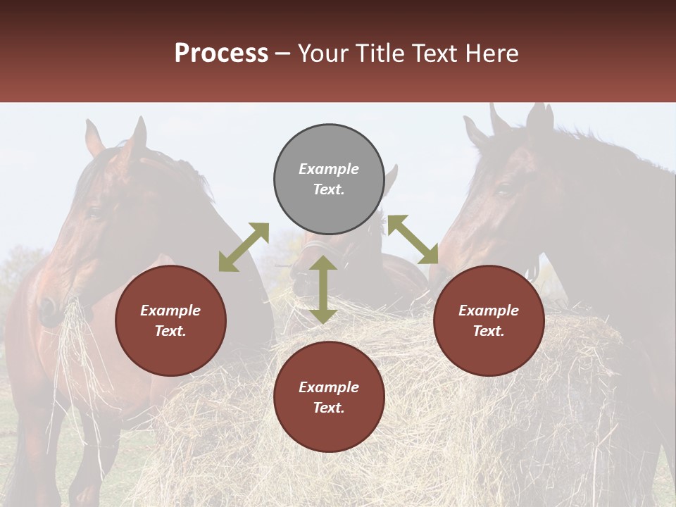 Home Condition Remote PowerPoint Template