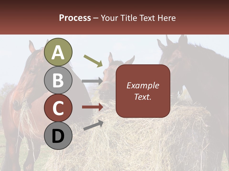 Home Condition Remote PowerPoint Template