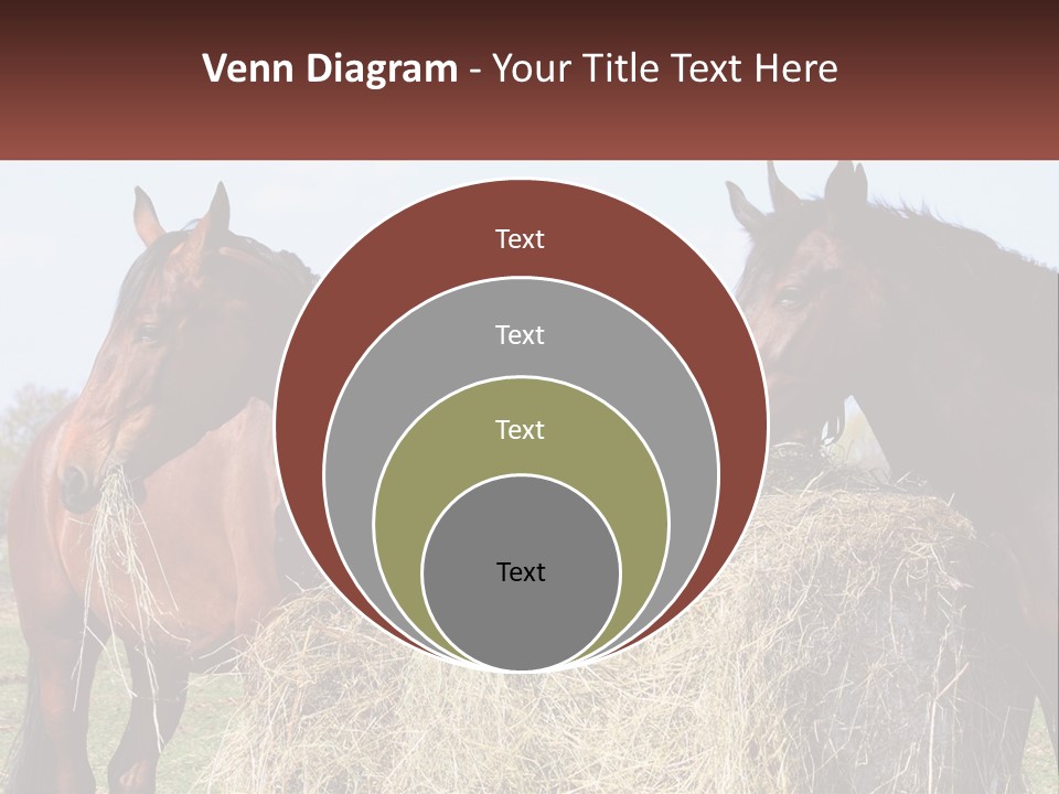Home Condition Remote PowerPoint Template